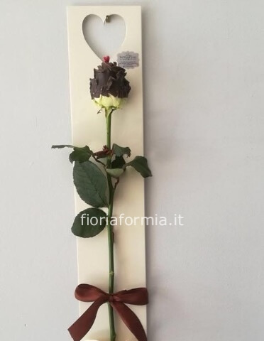 Rose olandesi al cioccolato
