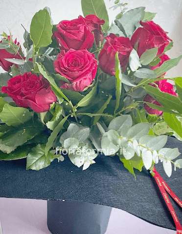 Tocco laurea